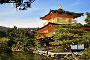 일본 교토의 역사적 명소: 꼭 가봐야 할 사찰과 정원 썸네일