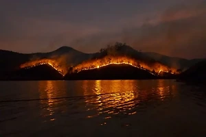 응급상황 대처법과 꼭 필요한 의료 상식 정리 썸네일
