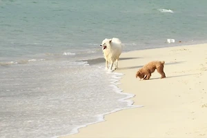 중장년층에게 꼭 필요한 걷기 운동의 장점과 실천 요령 썸네일