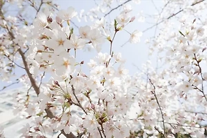 제철음식이 중요한 이유 | 계절별 추천 식재료와 활용법 알아보기 썸네일