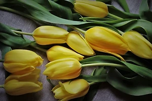 고혈압 관리법: 효과적인 운동과 식단 조절 방법 썸네일