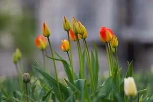 2025년 세계 인구 통계와 국가별 순위 알아보기 썸네일