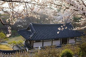 현대인에게 필요한 한방병원 건강 관리 방법 썸네일