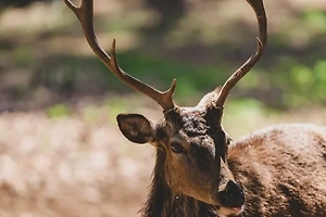 A형 B형 O형 AB형 성격 유형과 행동 패턴 알아보기 썸네일