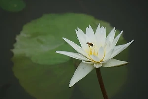 셀프 인테리어로 집 안 분위기 바꾸는 소품 활용법 썸네일