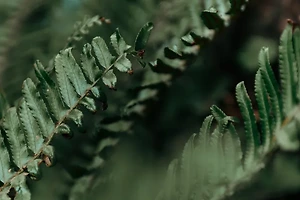 라스베이거스 호텔 추천 BEST 7, 가격대별 후기 정리 썸네일