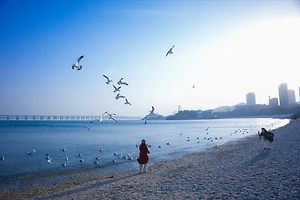 칭다오 여행 가기 전 꼭 알아야 할 인기 명소 리스트 썸네일