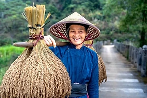 A, B, O, AB형의 성격 유형별 특징과 맞춤형 인간관계 비법 썸네일