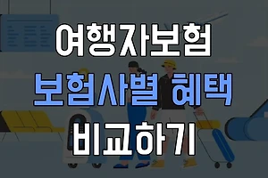 어느 보험사의 여행자보험이 더 좋을까? 혜택 비교 분석 썸네일