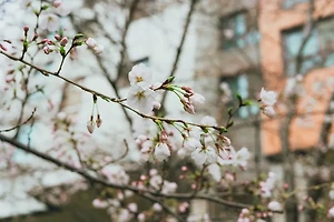 변호사 없이도 유리한 행정소송 진행하는 방법과 핵심 노하우 썸네일