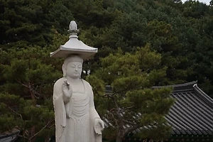 대한민국 국방부 조직도와 역할 총정리 | 군 조직 체계 한눈에 보기 썸네일