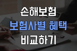 2024 손해보험: 보험사별 혜택과 가격 비교하기 썸네일