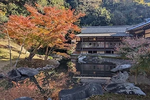 초보 창업자를 위한 법인 설립 등기 준비 가이드와 주의사항 썸네일