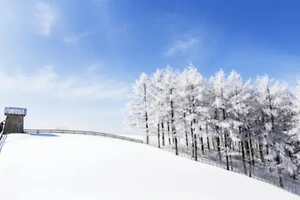 겨울철 추천 여행지: 평창에서 만나는 설원의 아름다움 썸네일