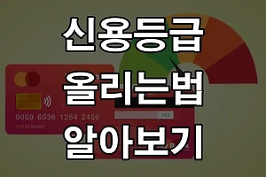 신용등급 올리는 방법 | 신용 점수 상향을 위한 6가지 방법 썸네일
