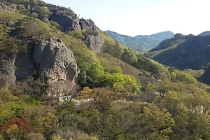 오클랜드 여행 코스 추천｜자연 명소와 관광지 완벽 가이드 썸네일