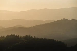 치매 검사 어디서 받을까? 병원별 검사 절차 총정리 썸네일