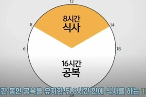 간헐적 단식으로 체중 감량 성공하기: 16:8 방식의 모든 것 썸네일