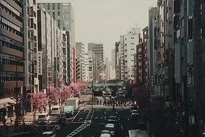부동산 양도소득세 신고기한과 신고 절차 완벽 가이드 썸네일