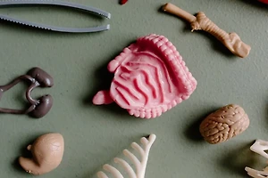 국회 본회의와 상임위원회 운영 절차 한눈에 이해하기 썸네일