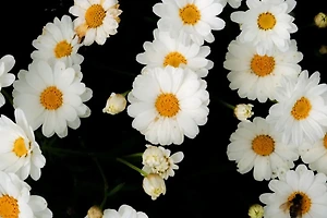 키 성장에 효과적인 스트레칭 자세와 비법 알아보기 썸네일