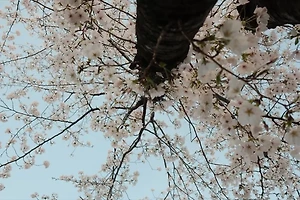 여권 갱신 시 필요한 서류와 준비물 최신 정보 안내 썸네일