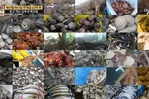 서민갑부 해산물갑부 현진씨 해산물 파는곳