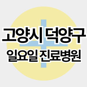 스킨이미지5