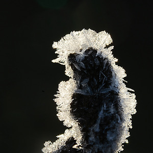 작은세계(서리)2012-1
