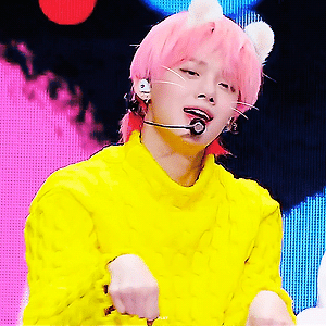 [cat.ver] COMEBACKSHOW Cat & Dog