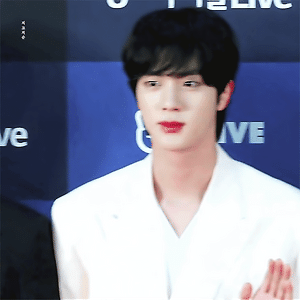 골든디스크 레드카펫