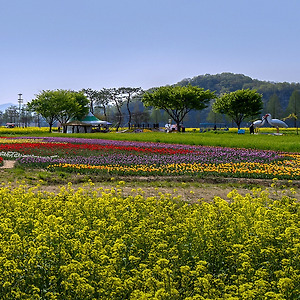 봄향기(남지유체팥)2504-5