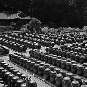 흑백풍경2010-3
