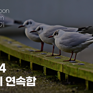 [백준] 1644: 소수의 연속합 - JS(투포인터)