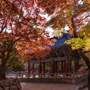 불국사가을소경2412-4