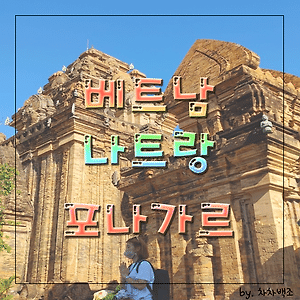 카테고리