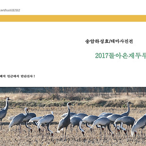 돌아온재두루미