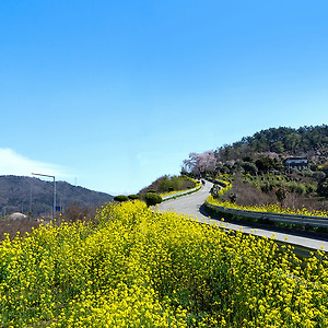 꽃길2004-1