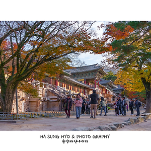 불국사가을소경2412-1