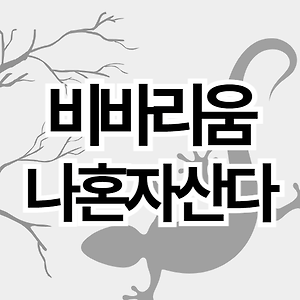 스킨이미지5