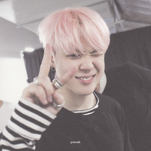 WINGS FINAL ESSAY BOOK (JIMIN)