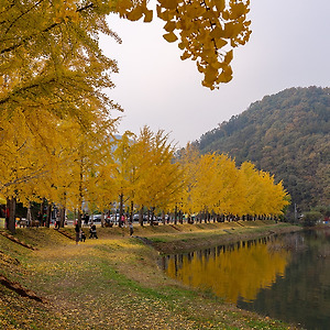 문광저수지소경2311-1