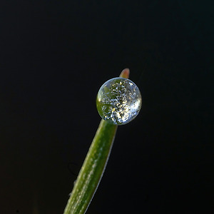 작은세계(이슬)2012-4