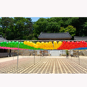 성주사연등2005-1