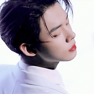 포을 trailer film
