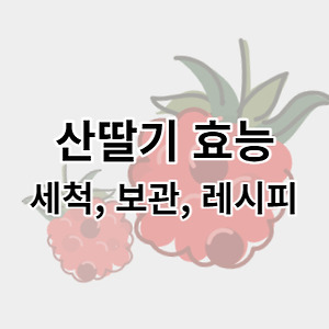 스킨이미지5