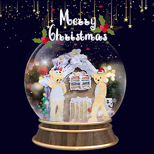 Merry Christmas