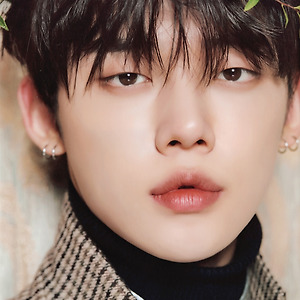 (scan) 디아이콘 디페스타