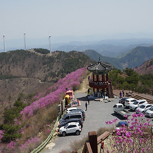 한우산봄풍경1904-2
