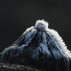 작은세계(서리)2012-4